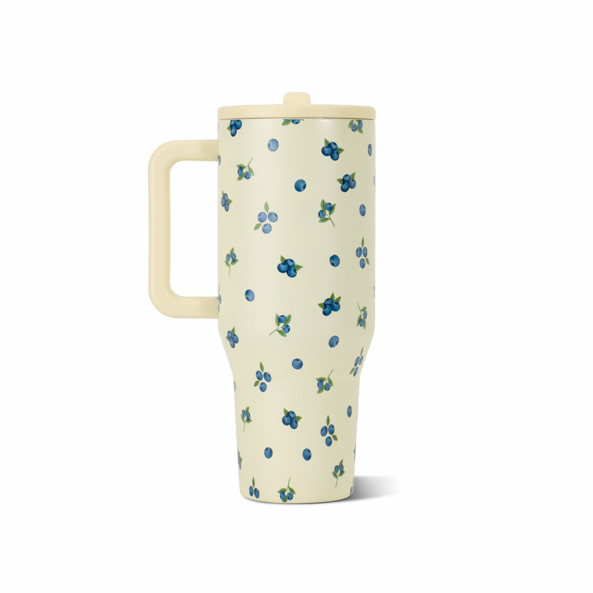 HYDROJUG Premium / HydroJug Traveler 40oz - Insulated Tumbler with Handle – Freshly Pickd