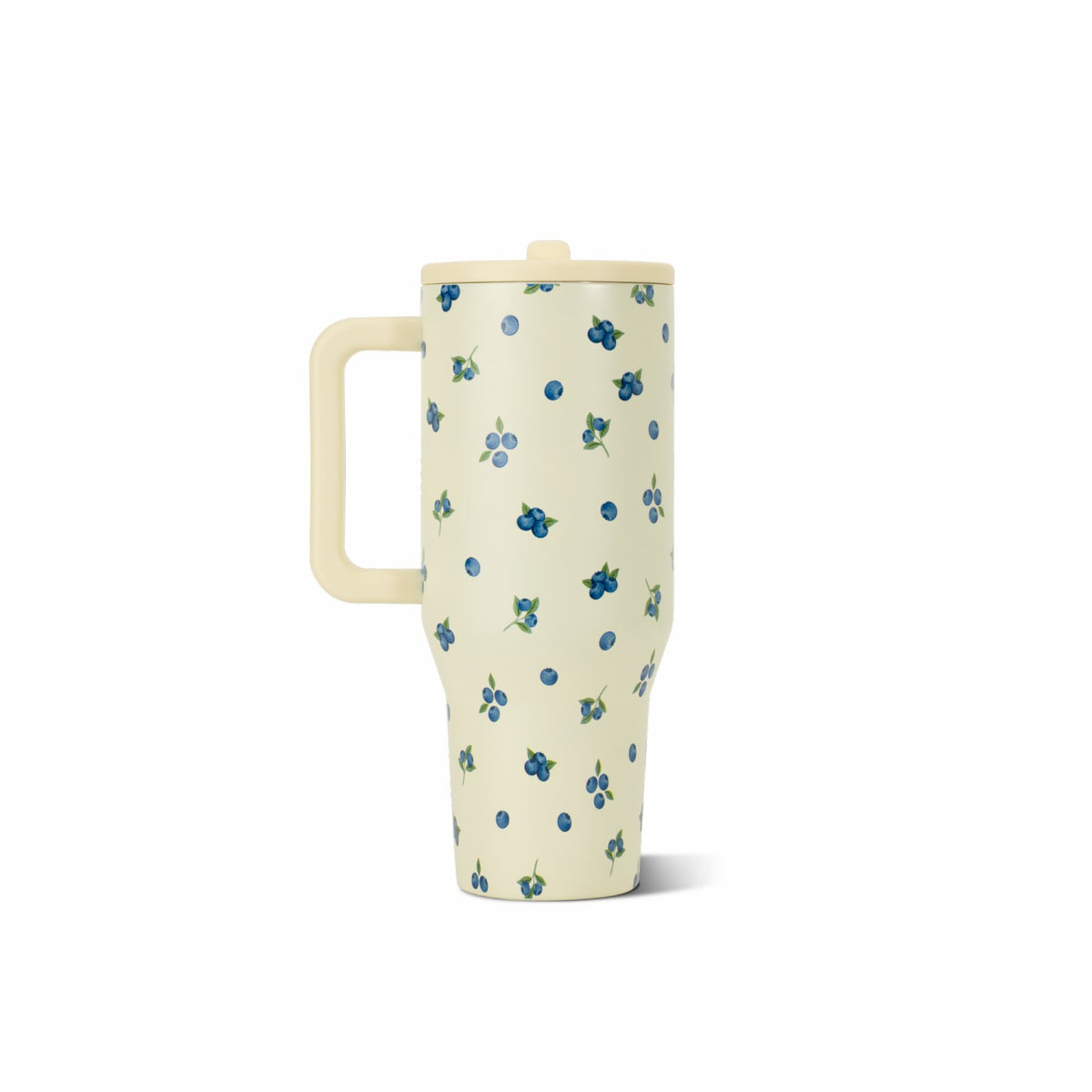 HYDROJUG Great Value / HydroJug Traveler 32oz - Insulated Tumbler with Handle – Freshly Pickd