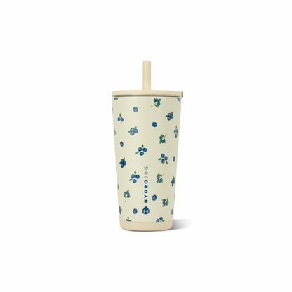 HYDROJUG Discount / HydroJug Everyday Tumbler 20oz - Ceramic-Lined Insulated Tumbler with Straw – Freshly Pick'd